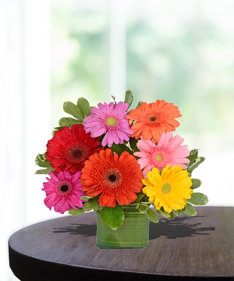 Gerbera Daisies Glass Cube delivered Baton Rouge, LA