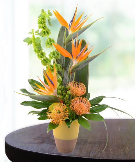 Aloha tropical flower arrangement with bird of paradise, pincushion protea, orchids, and bells of Ireland in a yellow vase