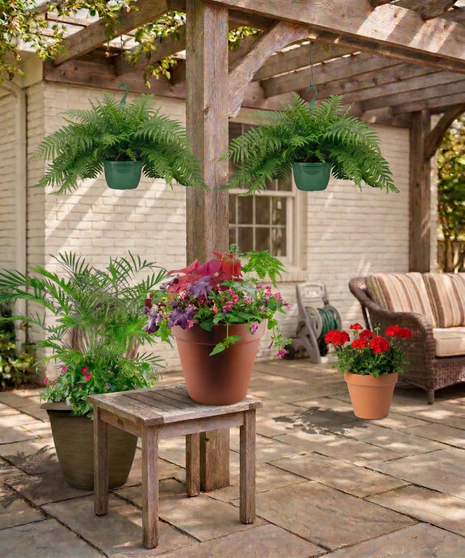 Outdoor patio scene with  pre-planted container gardens including hanging baskets, floor planters with pink geraniums, green foliage, illustrating the Instant Patio Package.