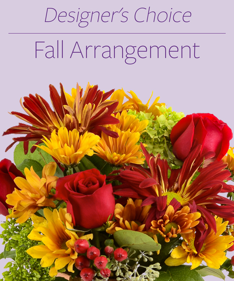 Designer's Choice - Fall