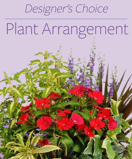 An arrangement of plants delivered in Baton Rouge - Billy Heroman's