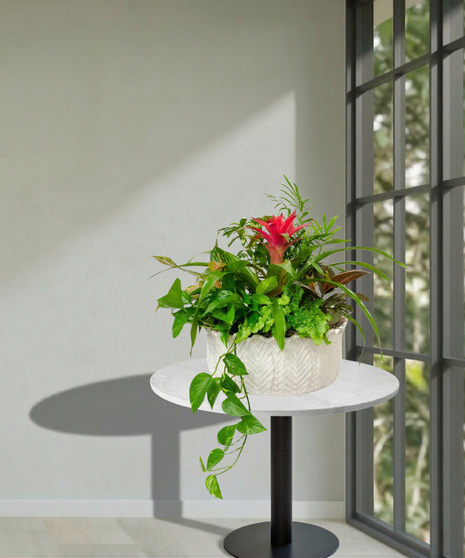 Assorted Fall Green & Blooming Plants European Garden in a ceramic container delivered Baton Rouge LA