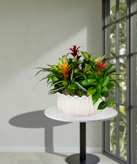 European Garden in Ceramic Container