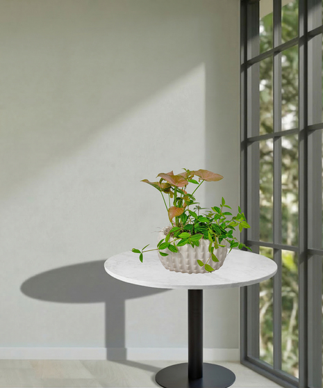 Petite European Garden in Ceramic Container