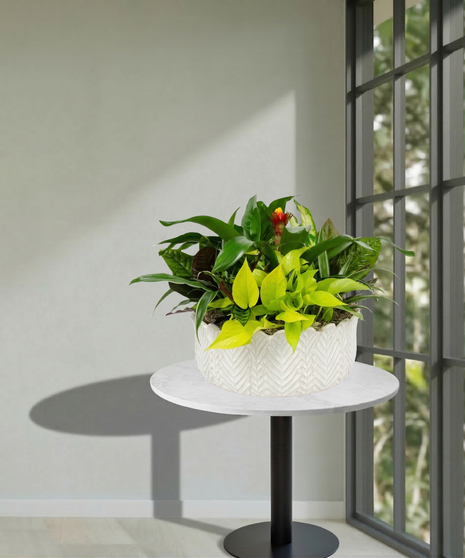 Assorted Fall Green & Blooming Plants European Garden in a ceramic container delivered Baton Rouge LA