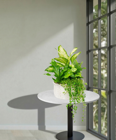 Assorted Fall Green & Blooming Plants European Garden in a ceramic container delivered Baton Rouge LA