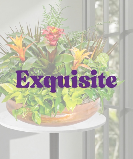 Assorted Fall Green & Blooming Plants European Garden in a brass container delivered Baton Rouge LA