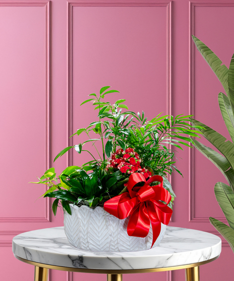 Assorted Fall Green & Blooming Plants European Garden in a ceramic container delivered Baton Rouge LA