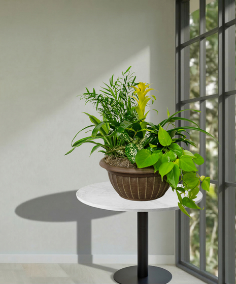 assorted spring blooming plants arranged in basket baton rouge la