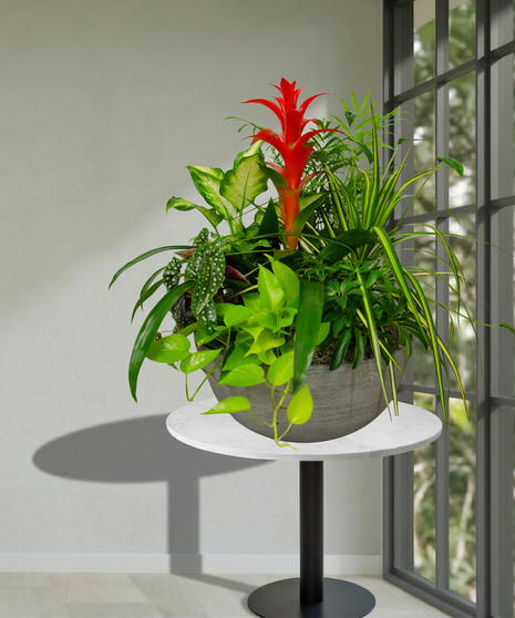 assorted spring blooming plants arranged in basket baton rouge la