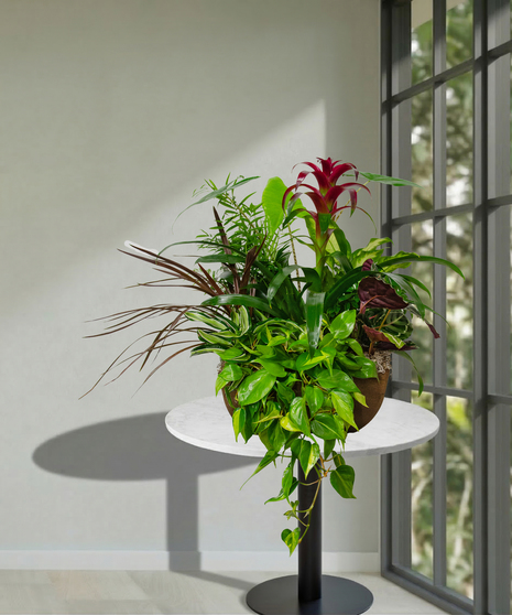 European Garden in Resin Container