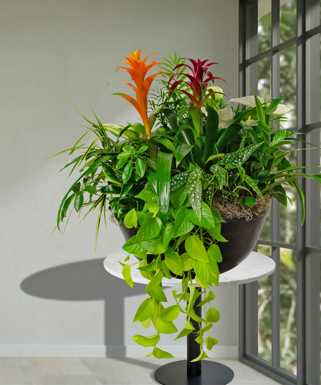 assorted spring blooming plants arranged in basket baton rouge la