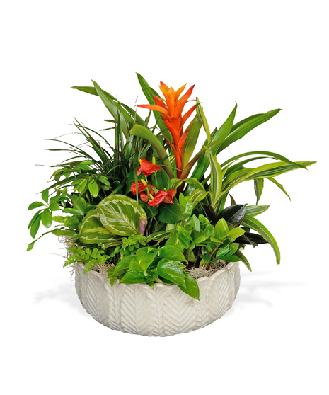 European Garden In Decorative Ceramic
