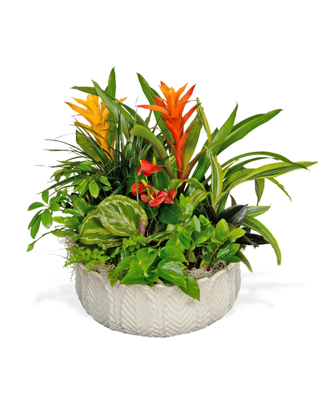 European Garden In Round Ceramic Container
