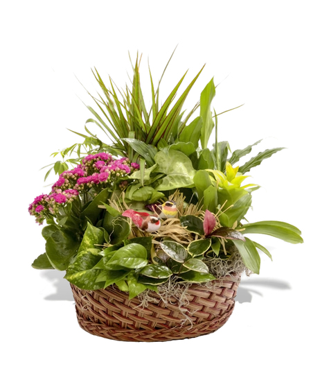 The European Garden Basket