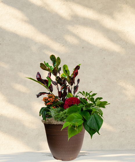 Fall Patio Pot
