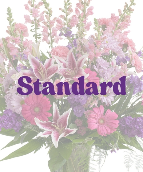 Feminine Vase Arrangement with rose lilies, snapdragons, gerbera daisies, daisies, and purple stock in a clear glass vase