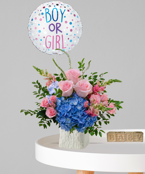 Boy or Girl - Perfect for Gender Reveal Parties