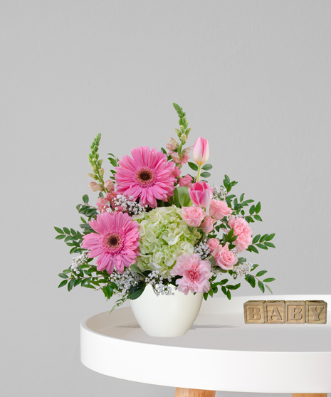 Gerbera Baby flower arrangement with pink gerbera daisies, tulips, carnations, and green hydrangea in a blush compote vase for a baby girl
