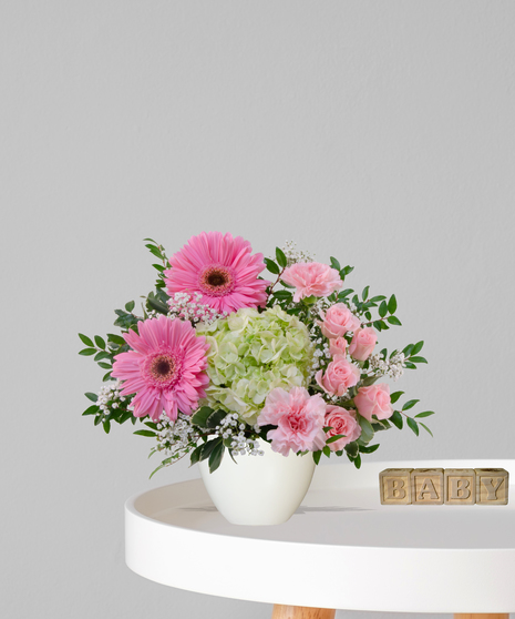 Gerbera Baby flower arrangement with pink gerbera daisies, tulips, carnations, and green hydrangea in a blush compote vase for a baby girl