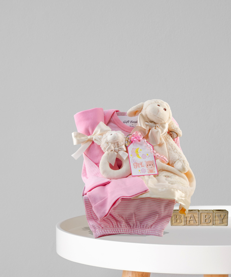New Baby Gift Baskets