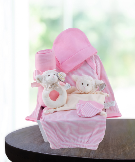 baby girl pink gift basket delivered in Baton Rouge, LA