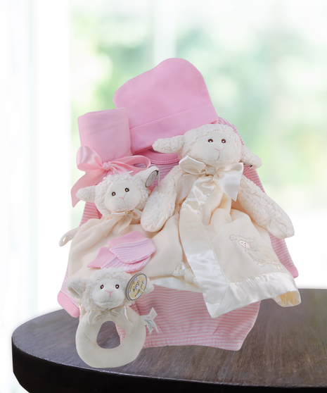 New Baby Gift Baskets