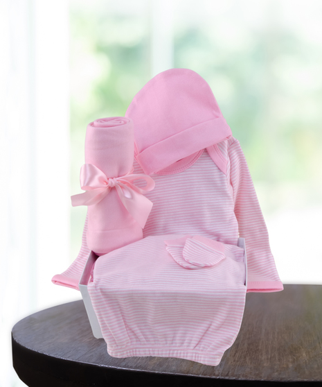 baby girl pink gift basket delivered in Baton Rouge, LA