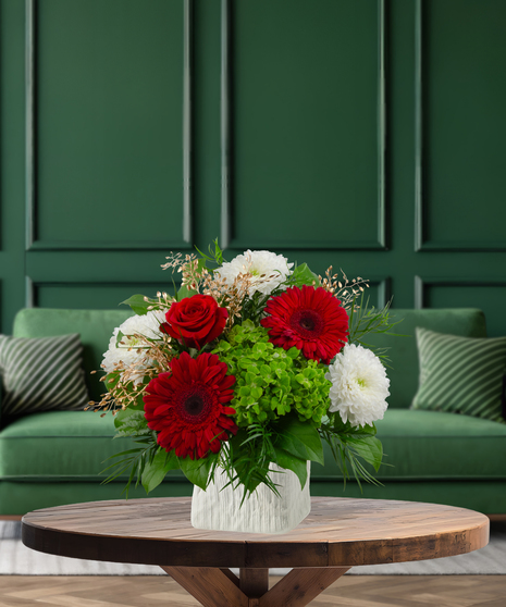 Gumdrop festive flower arrangement with red gerbera daisies, white cushion mums, green hydrangeas, green foliage, and gold accents in a unique white ceramic container
