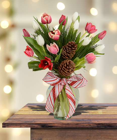 Holiday Tulips