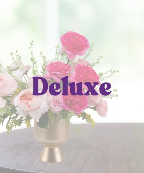 Hotter Than Pink flower arrangement with hot pink garden roses and blush roses in a matte gold vase