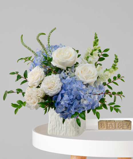 Oh Boy baby boy flower arrangement in ivory cube with white roses, blue hydrangeas, and white snapdragons