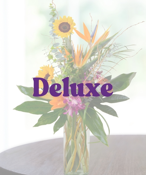 Kiely tropical flower arrangement with sunflowers, birds of paradise, orchids, lilies, and tropical greenery in a tall glass vase