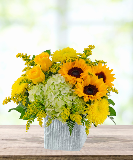 Pocketful of Sunshine floral arrangement with yellow sunflowers, roses, green hydrangeas, chrysanthemums, and solidago in a white cube vase.