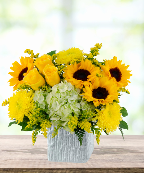 Pocketful of Sunshine floral arrangement with yellow sunflowers, roses, green hydrangeas, chrysanthemums, and solidago in a white cube vase.