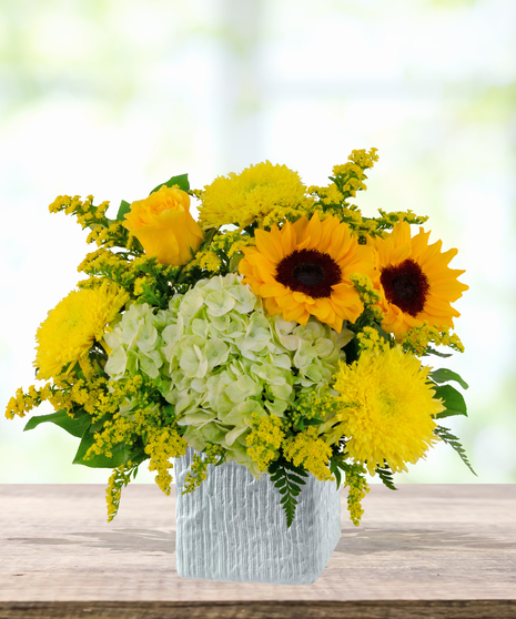 Pocketful of Sunshine floral arrangement with yellow sunflowers, roses, green hydrangeas, chrysanthemums, and solidago in a white cube vase.