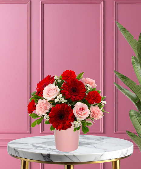 Love Bug Valentine's flower arrangement with red gerbera daisies, pink roses, red carnations, and white filler flowers in a matte pink vase.