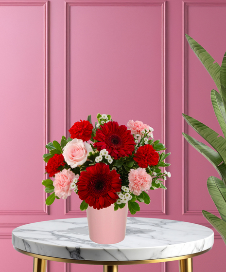 Love Bug Valentine's flower arrangement with red gerbera daisies, pink roses, red carnations, and white filler flowers in a matte pink vase.