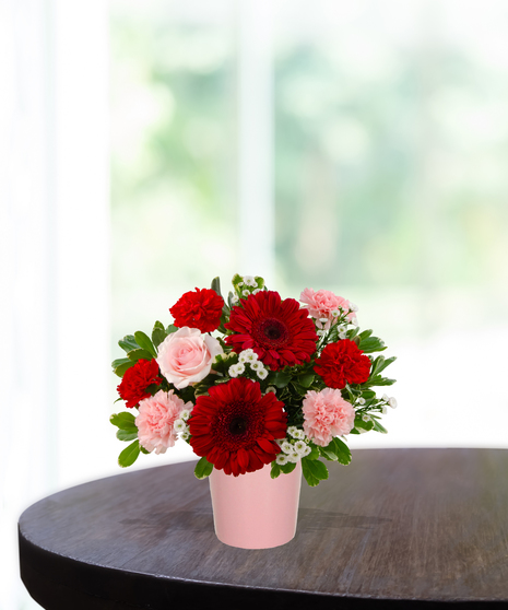 Love Bug Valentine's flower arrangement with red gerbera daisies, pink roses, red carnations, and white filler flowers in a matte pink vase.