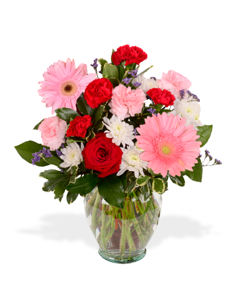 Carnations, roses, alstroemeria, and more for Valentine's Day