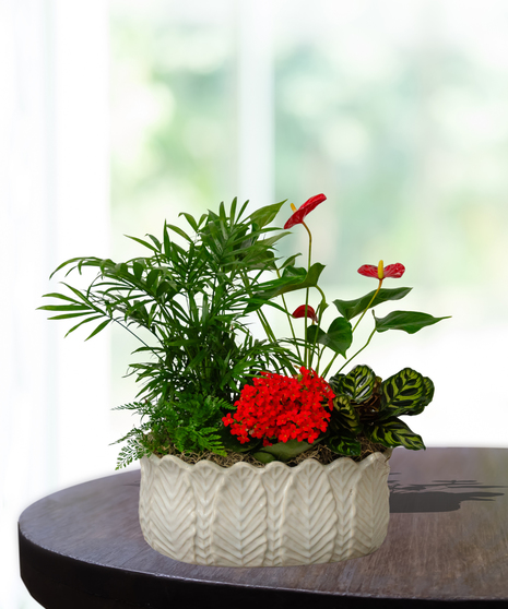 Assorted Fall Green & Blooming Plants European Garden in a ceramic container delivered Baton Rouge LA