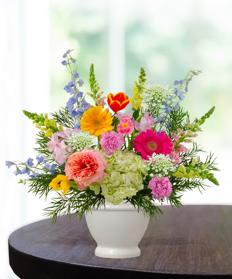She Knows Best floral arrangement featuring coral garden roses, vibrant gerbera daisies, blue delphinium, and lime hydrangeas in a white pedestal vase.