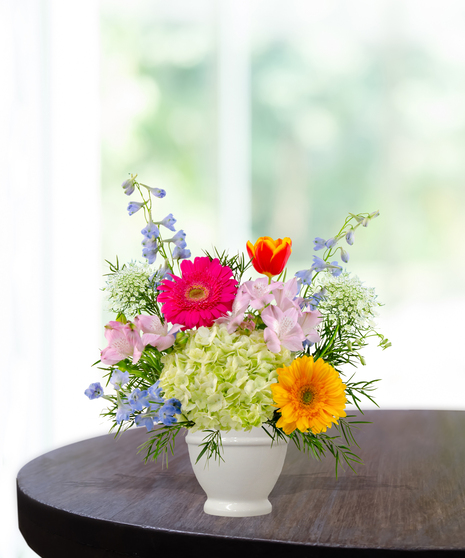 She Knows Best floral arrangement featuring coral garden roses, vibrant gerbera daisies, blue delphinium, and lime hydrangeas in a white pedestal vase.