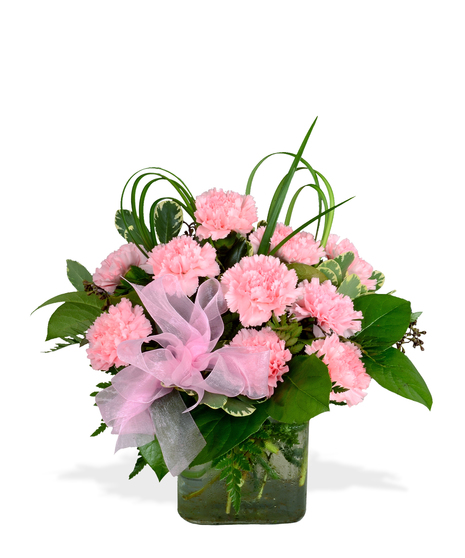 Phi Mu Cube Arrangement