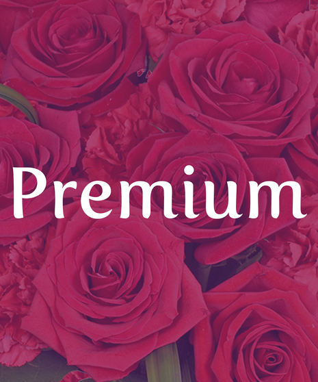 Phi Mu Pink Carnation Cube Arrangement with Pink and White ribbon for Rush Week delivered Baton Rouge LA