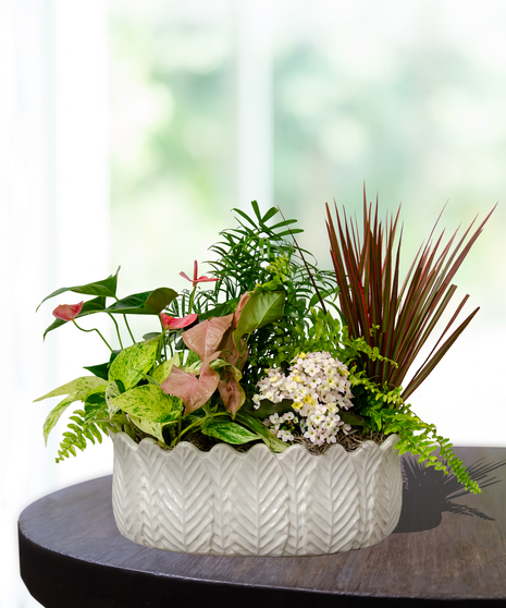 European Garden In Oval Ceramic Container