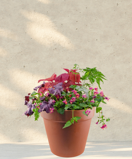 Spring It On Patio Pots - Option for Sun or Shade Blooms