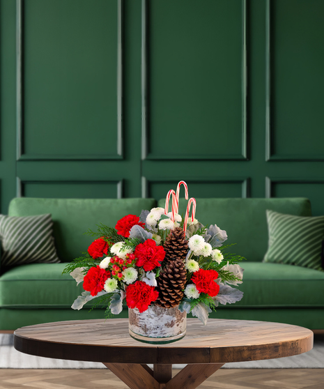 Peppermint Bark Christmas flower arrangement with white roses, red and white carnations, white mums, pine cones, evergreen, and candy canes in a birch-inspired vase