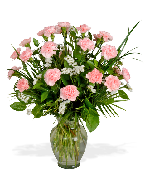 Phi Mu Carnations