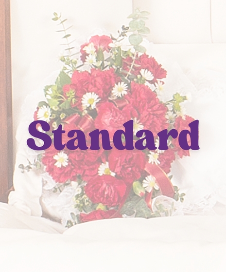 Classic Carnations pillow design delivered in Baton Rouge, LA. 